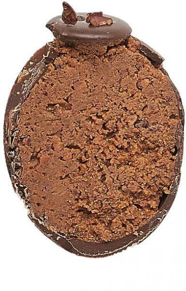 Praliné Cocoa Nibs Egg