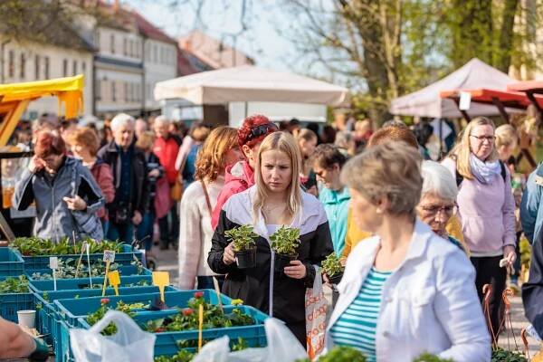 Novoměstské farmářské trhy ve dvojnásobném tempu potěší zejména pěstitele - TRHY