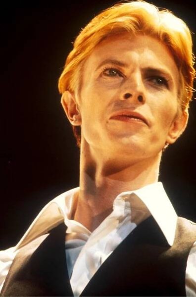 David Bowie: Five Years (2013)