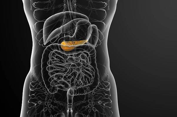 Žlučníková dieta: Jakým potravinám se vyhnout při potížích se žlučníkem ...