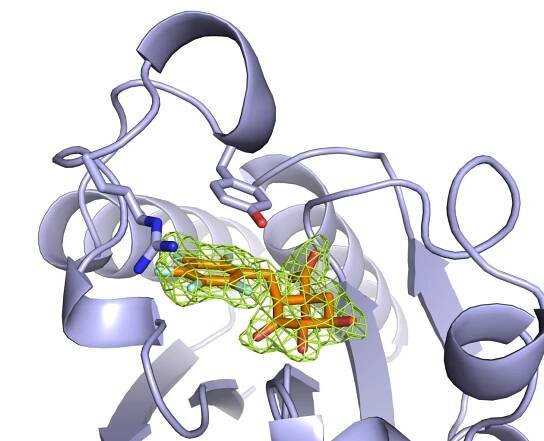 4B6P -Mt-DHQ2 complexed with (2S)-2-perfluorobenzyl-3-Dehydroquinic Acid