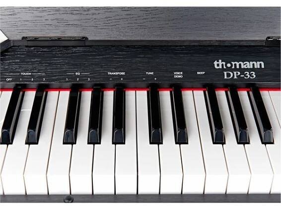 Thomann DP-33 B