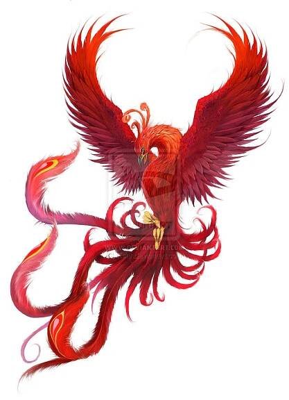 a red bird is flying with its wings spread