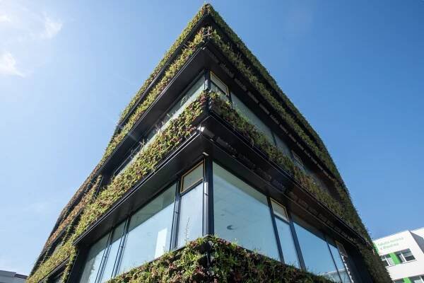 Zelená fasáda - Fakulta životního prostředí ČZU v Praze - Flora Urbanica