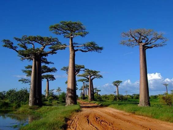 5 Places to Visit Before they Disappear! – Institut Esthederm US