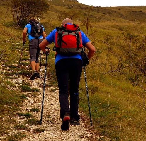 Trekkingové hole DODATEČNÉ KONCOVKY POUZDRO Skládací Nordic Walking Hlavní barva vícebarevná