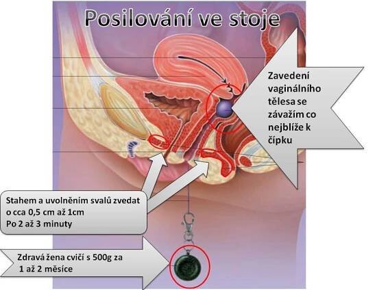 MUDr. Soňa Hlavová - Urologická ordinace - Rychnov nad Kněžnou - zdravotniregistr.cz