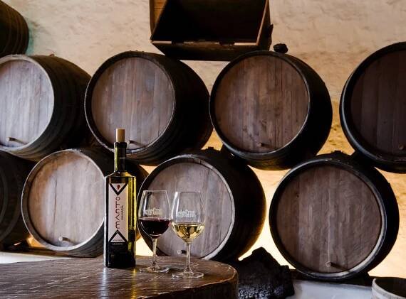 Bodega La Geria | Bodega La Geria