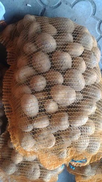 Brambory