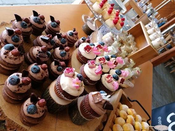 Fotogalerie | Cool catering Brno