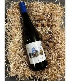 Hibernal z BIO vinice 2024