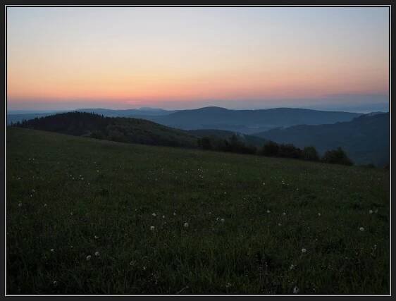 Vyškovec