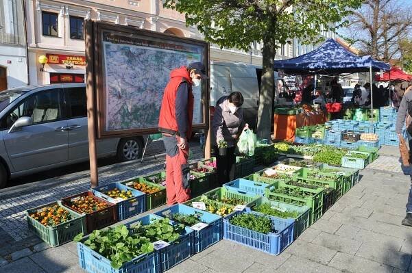 O sobotní trhy v Lounech byl velký zájem, nabízelo se i největší ovoce světa