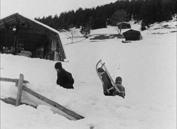 Aufsätze / Essays