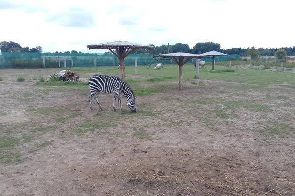 ZOOPARK STĚŽERY foto 1