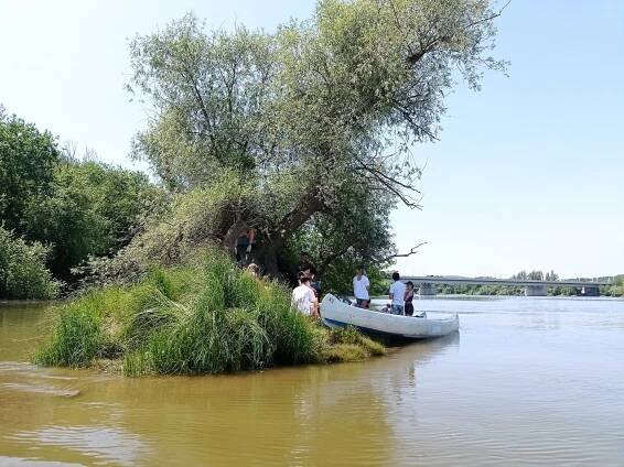 Projektnap 2025 – Beszámoló és fotóalbum | Alternatív Közgazdasági Gimnázium