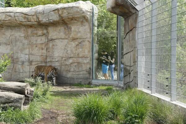 Zoo Hluboká je otevřena