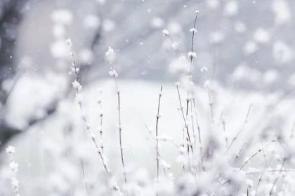 Android pozadí : Krásy zimy | Androidmarket.cz