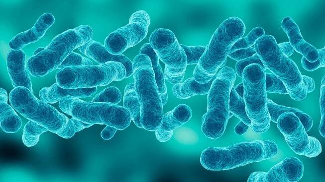 Bacterial changes point to new therapies for Legionnaires’ disease