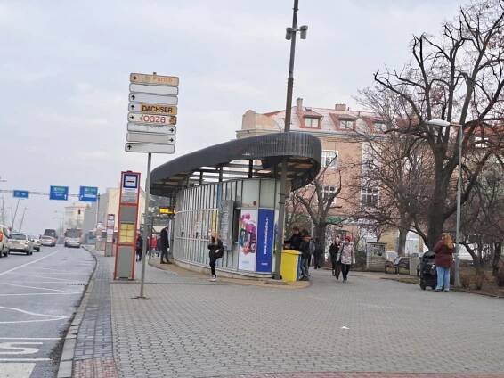Přestavba náměstí Svobody začne kácením. Padnou desítky stromů, nahradí je nové