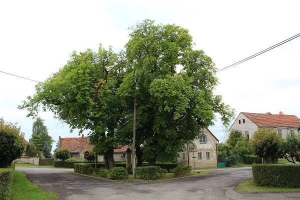 Hrušov (okres Mladá Boleslav) – Wikipédia