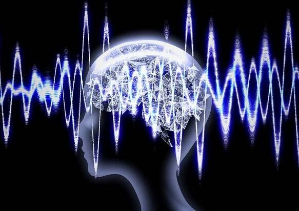 Neuroplasticita mozku - Irena Marek Brejchová