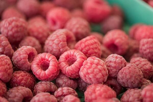 Sector Raspberry