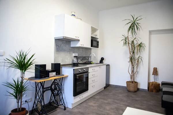 Brand aparts, pronájem apartmánu Vsetín - ubytování Beskydy, 8595