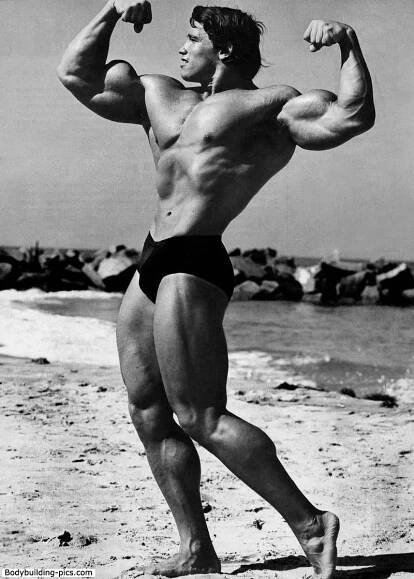 Arnold Schwarzenegger fotka 2253577 | SHOWBIZ.CZ 