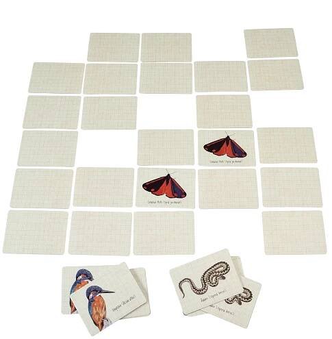 Dětská hra pexeso Rex London - Nature Trail Memory Game - Skibi Kids