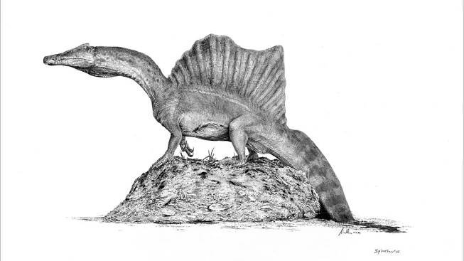 Nejdelšího dravého dinosaura objevil rodák z Čech Richard Markgraf