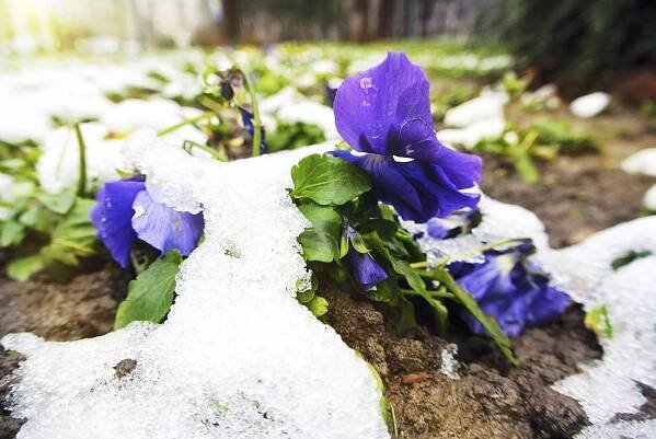 Winterizing Urban Gardens: Caring For Urban Gardens In Winter