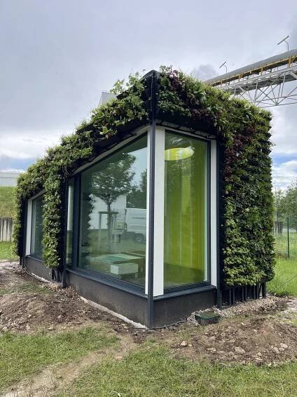 Zelená fasáda - Showroom Saint-Gobain v Praze - Flora Urbanica
