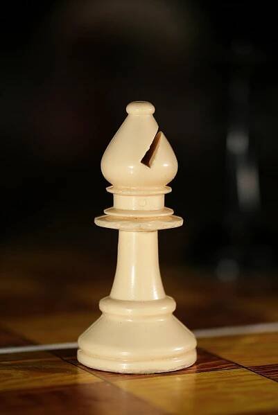 bishop - Wiktionary, the free dictionary