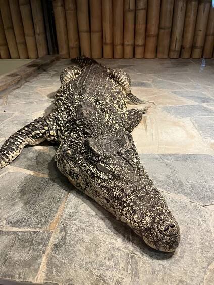 Klub rodičů v Krokodýlí ZOO - EDUCAnet Praha