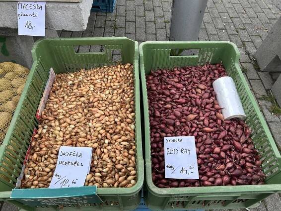 Olomoucká tržnice po zimě ožívá. Co už tam prodávají a za kolik