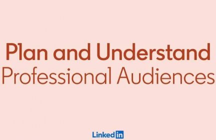 Making It Easier to Plan and Understand Professional Audiences on LinkedIn
