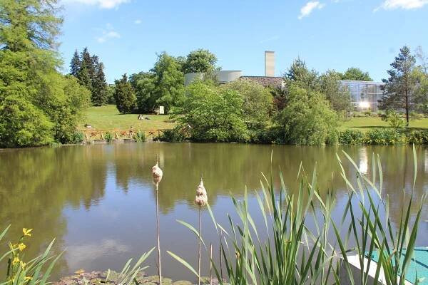 PODÍVEJTE SE: Arboretum na Opavsku je otevřeno! Láká na tuto kvetoucí nádheru