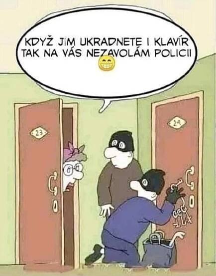 Sousedka a zloději