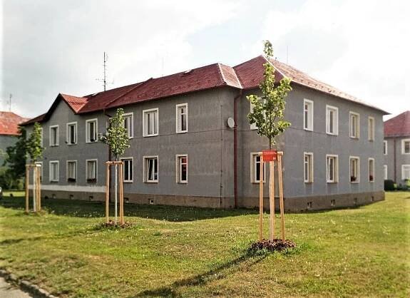 Nová zeleň poskytne stín bytovkám zaměstnanců psychiatrické nemocnice | Nadace ČEZ 