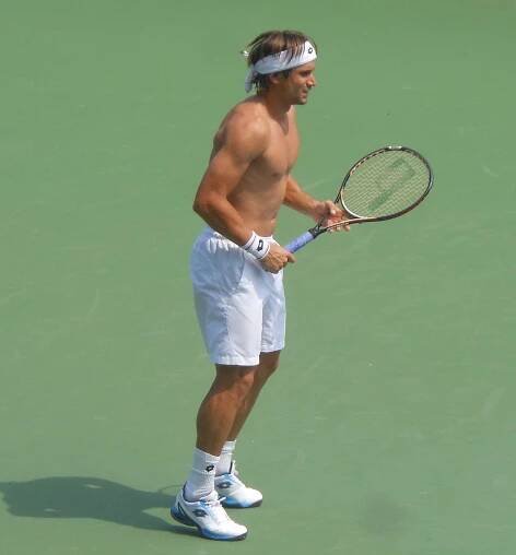 David Ferrer - Wikipedia