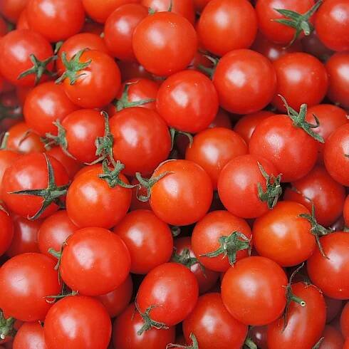 Semena rajčat / 16 oblíbených odrůd / Bio / Non GMO Tigerella Black Cherry Oxheart Zlatava