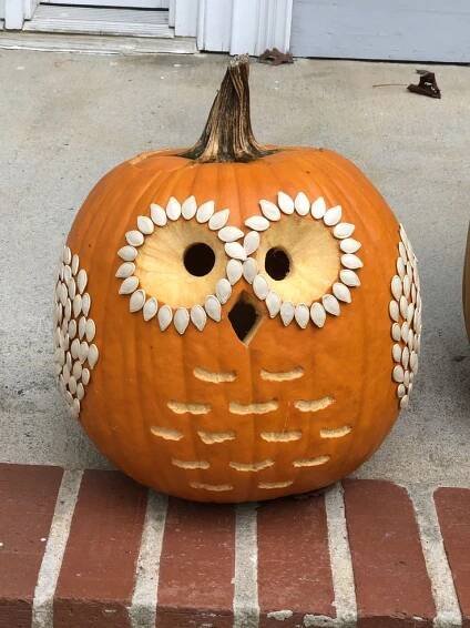 Spooky Owl Pumpkin Carving Ideas
