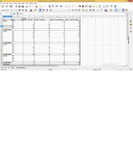 File:Pivot median libreoffice 5 3.png - The Document Foundation Wiki