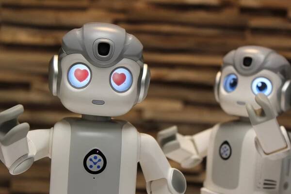 Robot Robin, de nieuwe beste vriend van jong en oud | Robot Friends