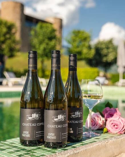 wines at chateau copsa