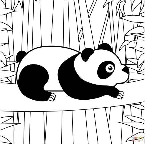 Panda omalovánka