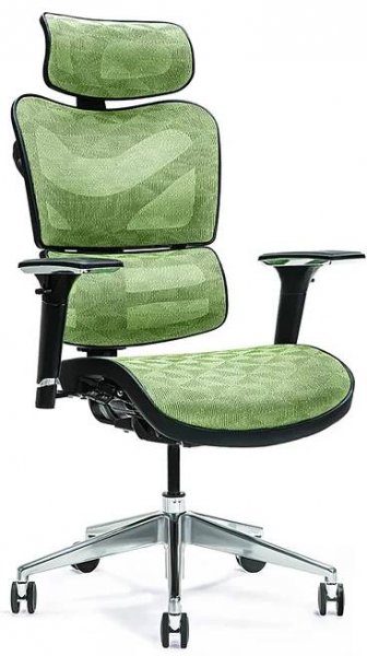 Ergonomické křeslo Ergo 600, zelené mesh