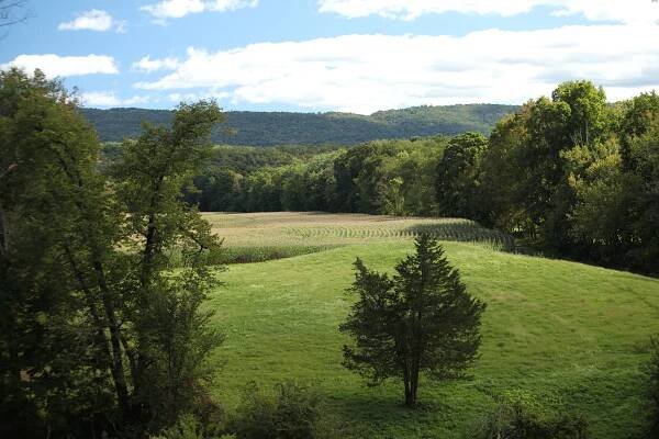 View of the Shawangunk Ridge beyond hay and corn fields