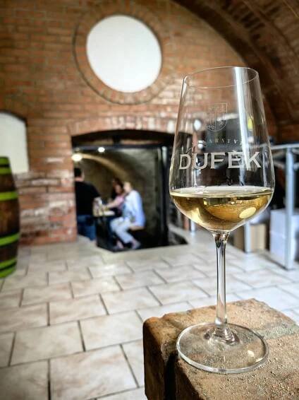 Penzion Svatoborský sklípek foto 15